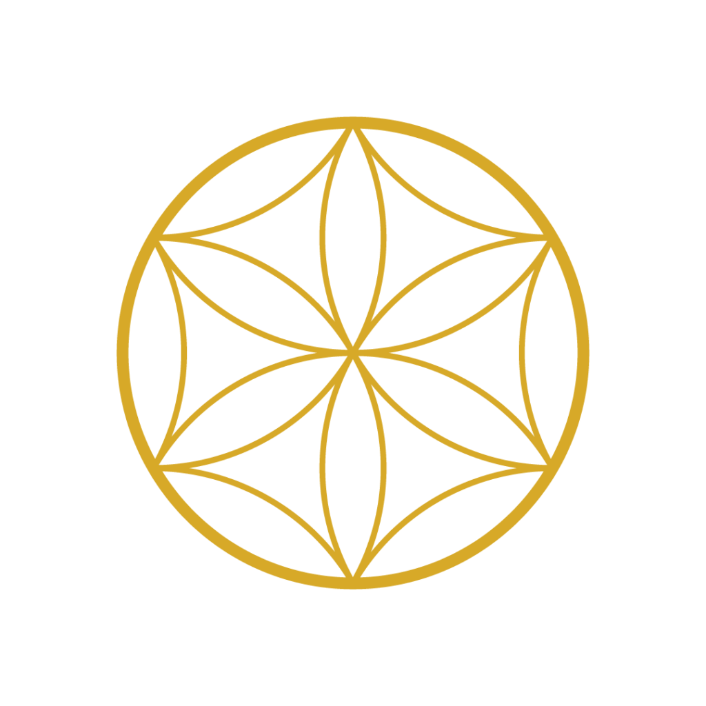 Creating Brave Spaces